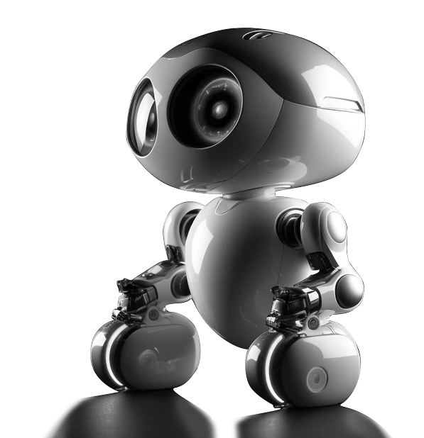 Check Chauffeur Etiquette & Standards